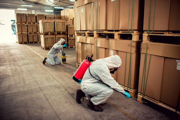 Best Termite Control Services  in Friday Harbor, WA