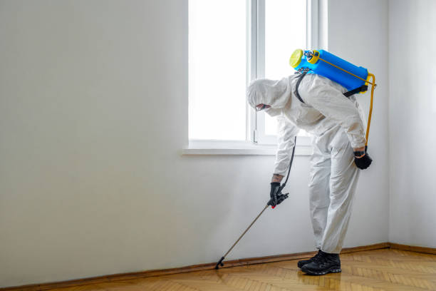 Pest Prevention Services in Friday Harbor, WA