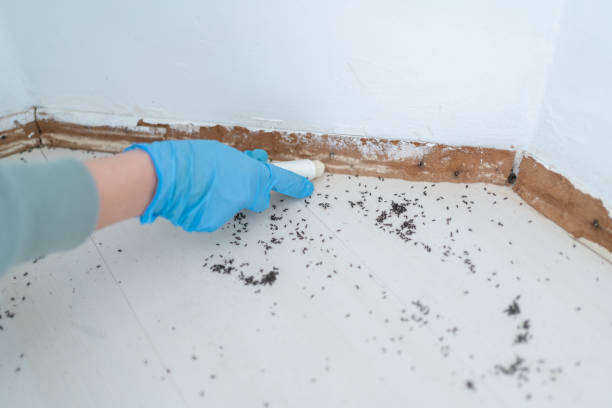 Best Pest Removal Services  in Friday Harbor, WA